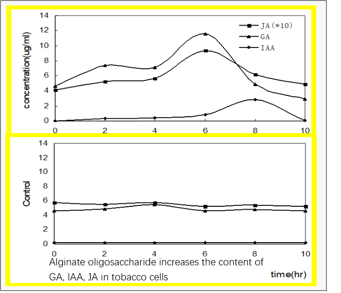alginate oligosaccharides to activate immune system
