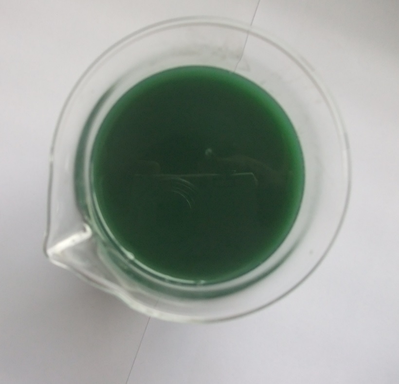 liquid seaweed extract concentrate